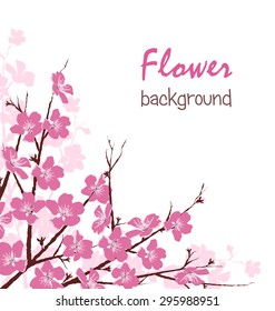 Branches with Pink Flowers Isolated on White Background