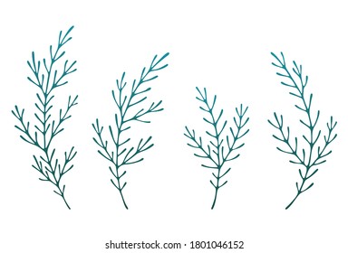 Branches of the plant. Individual element. A set of six figures.