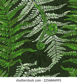 Branches of plants seamless watercolor pattern on a dark background. Fern seamless pattern. Vector illustration - Shutterstock ID 2256846991
