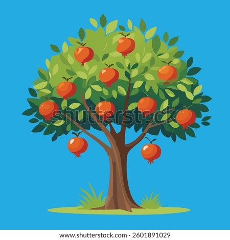 The branches of a pomegranate tree bend with the weight of its bright red
