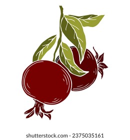 Branches of a pomegranate tree with ripe fruits. Vector graphics.