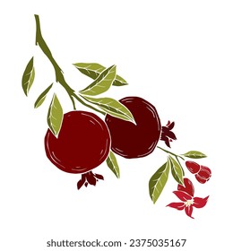 Branches of a pomegranate tree with ripe fruits. Vector graphics.