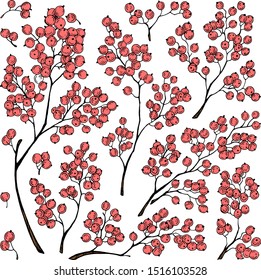 Branches with red berries. Drawing ink. Vector illustration.