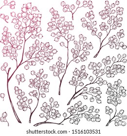 Branches with red berries. Drawing ink. Vector illustration.