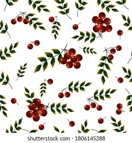 Branches with red berries and leaves. Vector illustration isolated on white background.