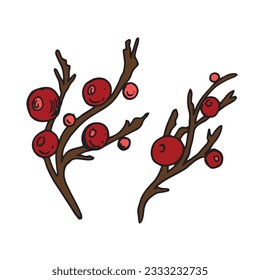 branches with red winter berries on a white background, winter joy concept, vector illustration