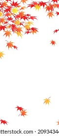Branches with red and yellow leaves in October. Autumn branches of Japanese maple on a white background. Vertical composition in a flat style. Vector.