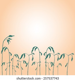 Branches of reeds in the sun drawn in pencil