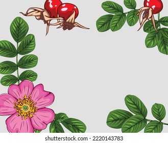Ramas de la cadera rosa madura o rosa salvaje. Imagen del vector