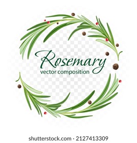 Branches of rosemary and pepper spice. Vector composition.