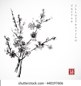 Branches of Sakura in blossom on white background. Traditional Japanese ink painting sumi-e. Contains hieroglyph - double luck.