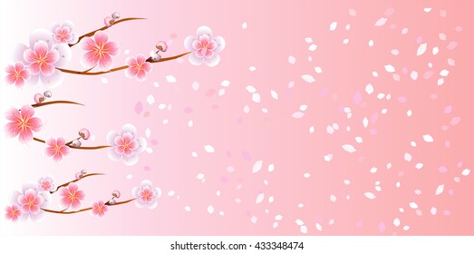 Branches of sakura with flowers. Cherry blossom branches with petals falling on Pink color background. Vector