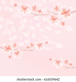 Branches of Sakura on pink Bokeh background. Apple-tree flowers. Cherry blossom. Vector EPS 10, cmyk