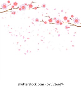 Branches of Sakura and petals flying isolated on white background. Apple-tree flowers. Cherry blossom. Vector EPS 10, cmyk.