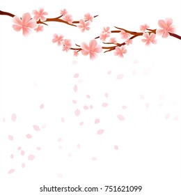 Branches of Sakura with Pink flowers and flying petals isolated on White background. Apple-tree flowers. Cherry blossom. Vector EPS 10, cmyk
