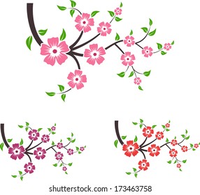 Branches of sakura. Set of vector illustration.