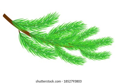 
Ramas y agujas separadas en un fondo blanco para crear un árbol de Año Nuevo