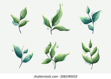 Ramas con hojas verdes en un claro estilo de acuarela vectorial. Elemento de diseño para emblema de lujo, identidad botánica, proyectos ecológicos, invitaciones de boda.