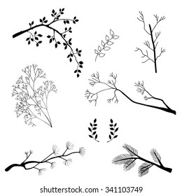 Branches set, hand drawn