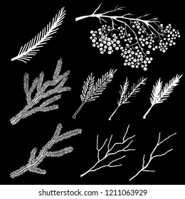 Branches set. Hand drawn isolated on black background design elements