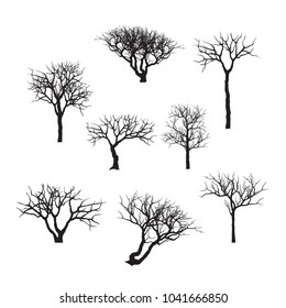 branches and shadows of bonsai tree. branch silhouette icon set, symbol, design. vector illustration isolated on white background