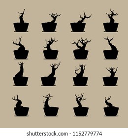 branches and shadows of bonsai tree. branch silhouette icon set, symbol, design. vector illustration isolated on  background. Japanese hawthorn bonsai, Detailed image, Mini tree in pot.