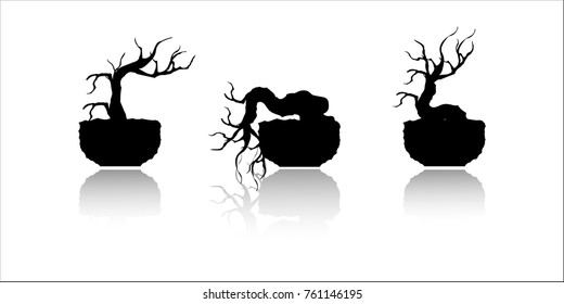 branches and shadows of bonsai tree. 
plant silhouette icons on white background.   

