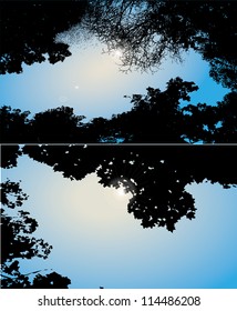branches silhouette