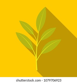 branches silhouette isolated on color background with lot of leaves