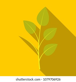 branches silhouette isolated on color background with lot of leaves