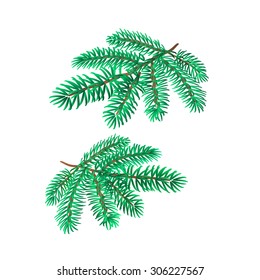 Branches Silver Spruce Christmas tree symbol celebration vector illustration