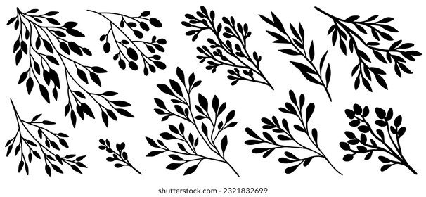 Branches sketch set. Hand drawn graphic plants. Vector illustration of different branches isolated on white background