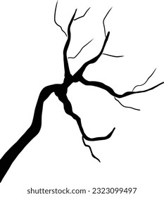 Branches, spider webs, Halloween decorations