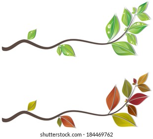Branches of spring and autumn leaves on white. Vector illustration