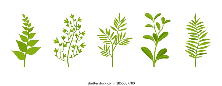 Branches spring set with greenery bushe, garden leaves. Landscape organic atmosphere, lush foliage for room, office decoration, party holiday botanical ornament. Vector flat style cartoon illustration