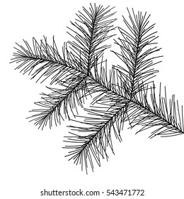 the branches of spruce. new year