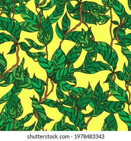 branches with striped leaves vector seamless pattern. A hedge of twigs on a colored background