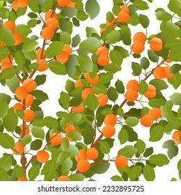 Branches are thick apricot with ripe fruits. Garden plant with edible harvest. Seamless pattern composition. Branch with foliage and leaves. Isolated on white background. Vector.