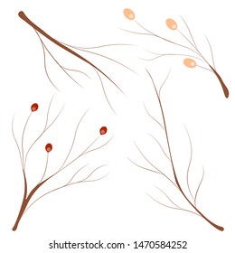 Branches of tree. Autumn elements on white background. Vector illustration