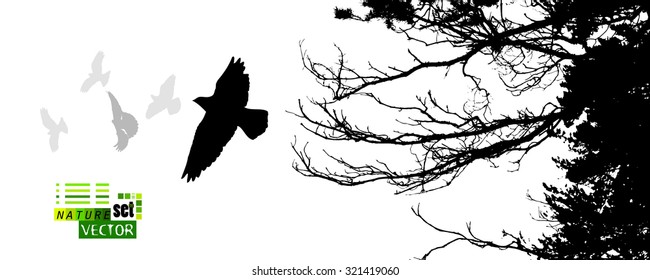 The branches of a tree with birds. Vector