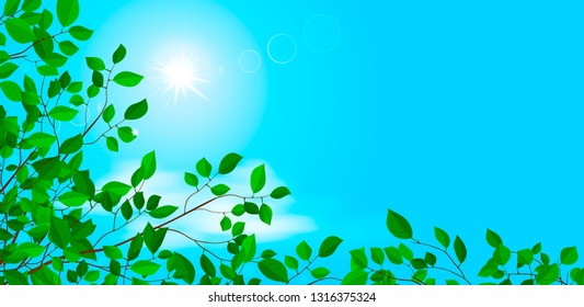 Branches of a tree with leaves. The sun in the blue sky.  