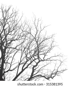 Branches of a tree on a white background, illustration clip-art