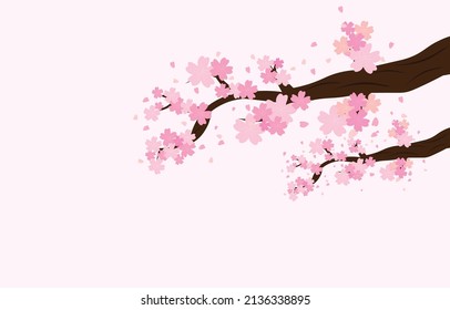 branches of the tree pink sakura decorated with light background, isolated with background, spring flower illustration vector