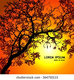 The branches of a tree at sunset. Vector