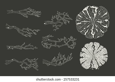 Branches. Tree-rings. Logs. Wood. Isolated. Vector
