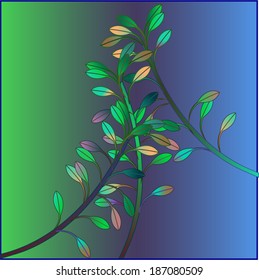 branches of trees against fog