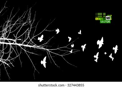 The branches of trees with birds. Vector