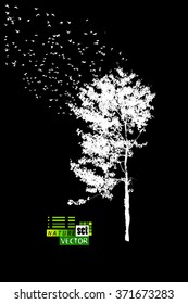 The branches of trees with birds. Vector