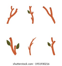 Branches of trees isolated on a white background. Vector illustration.