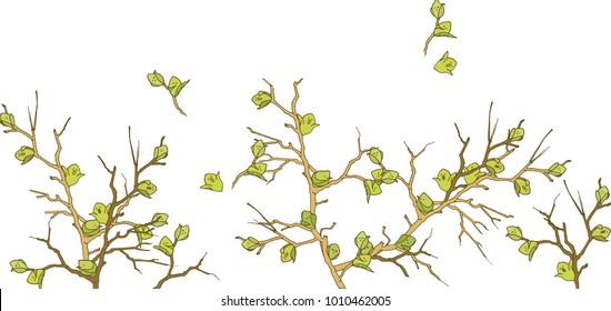 The branches of the trees are strewn with spring buds of leaves, which wake up from the winter sleep.
